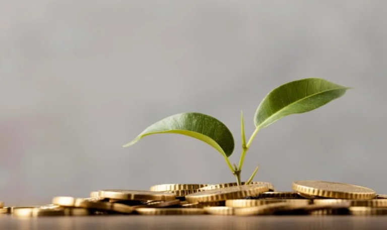 المؤسسة الفردية في النظام السعودي