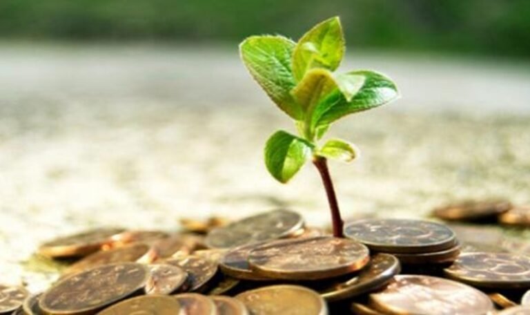 حوكمة استثمار الأوقاف