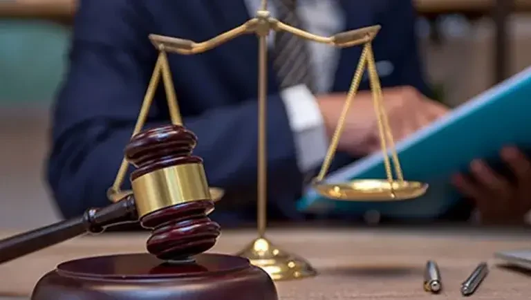 التخصصات القانونية للمحامون